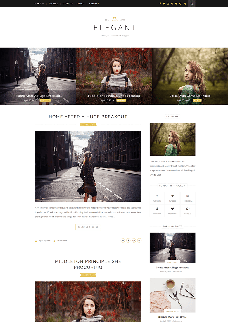 Elegant-wordpress-theme