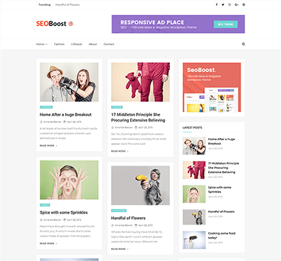 seoboost-free-wordpress-theme